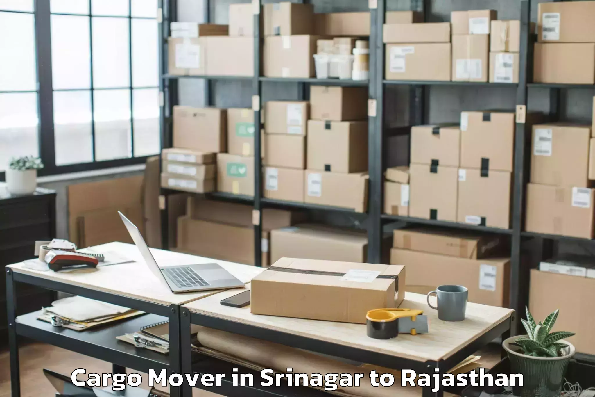 Professional Srinagar to Madanganj Kishangarh Cargo Mover